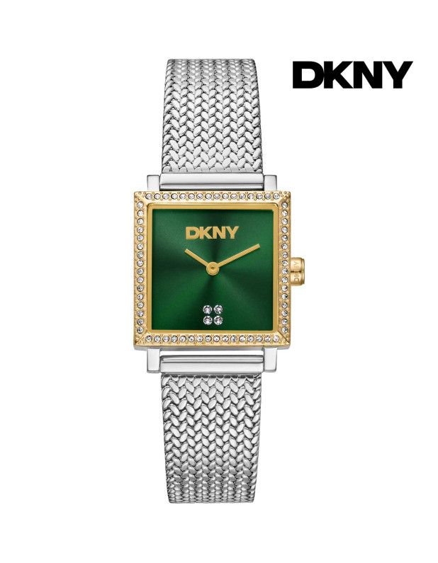 DKNY Ladies Watch